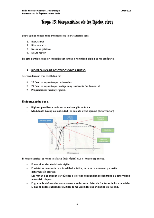 Miniatura del documento Biomecanica-13-20.pdf