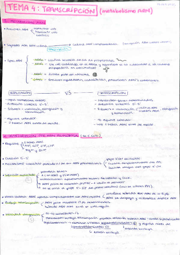 Miniatura del documento Tema-4a-Metabolismo-ARN-transcripcion.pdf