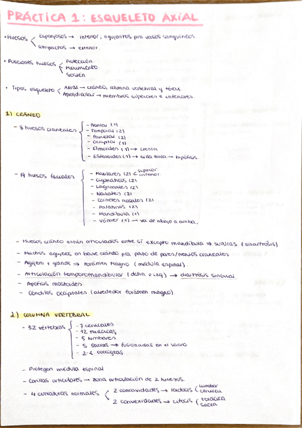 Miniatura del documento Apuntes-practicas-1-2-y-3.pdf