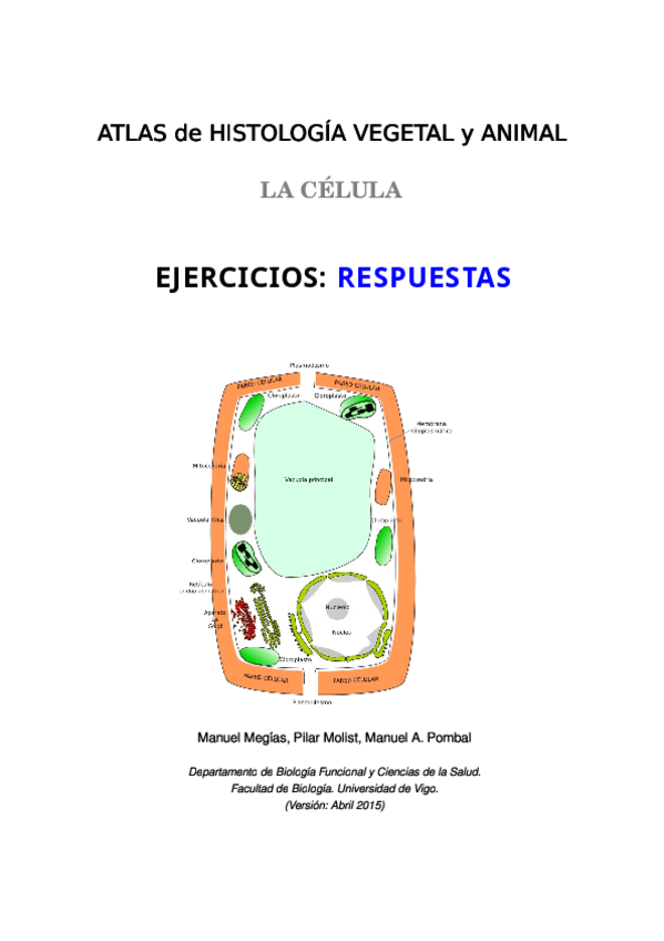 Miniatura del documento Cuestionarios - Respuestas.pdf