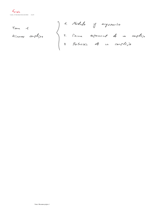 Miniatura del documento Resumen ONENOTE.pdf