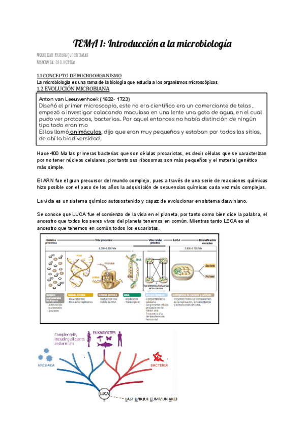 Miniatura del documento MICROBIOLOGIA-1.pdf