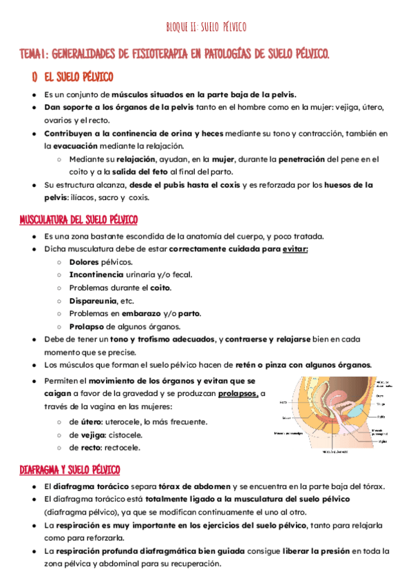Miniatura del documento Bloque II, Temas 1-2: Generalidades y Anatomia Suelo Pelvico.pdf