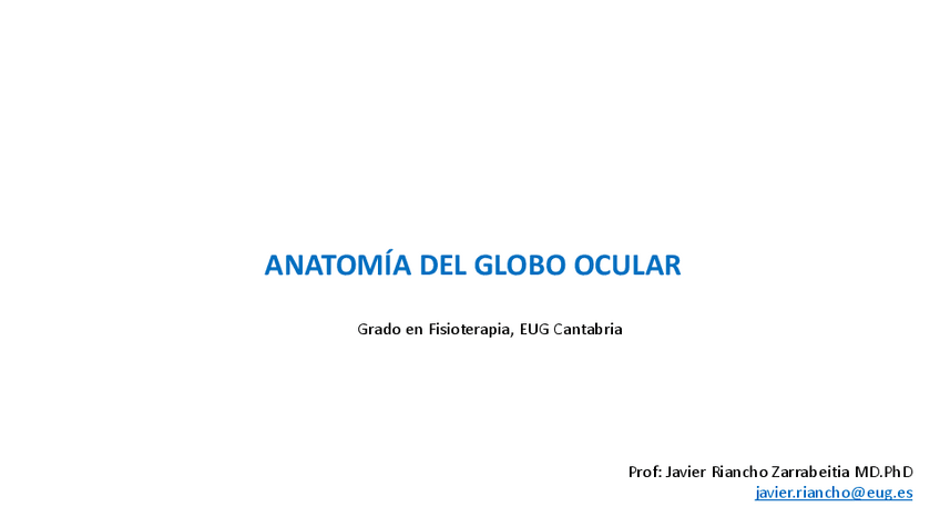 Miniatura del documento GLOBO-OCULAR.pdf
