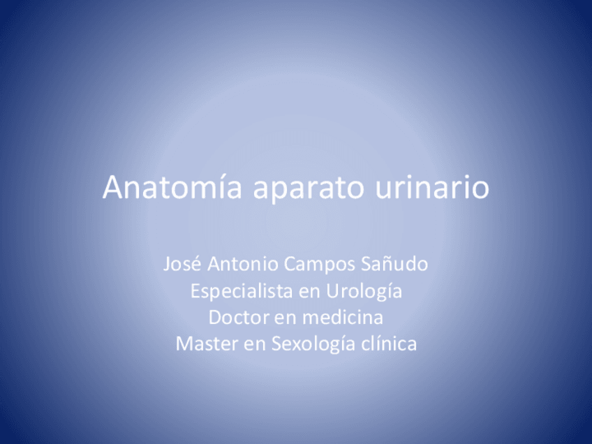 Miniatura del documento Anatomia-aparato-urinario.pdf