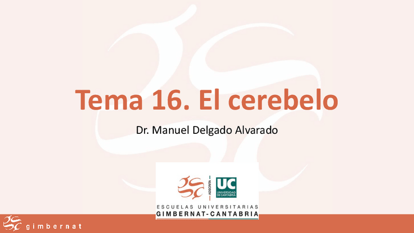 Miniatura del documento Tema-16.-El-cerebelo.pdf