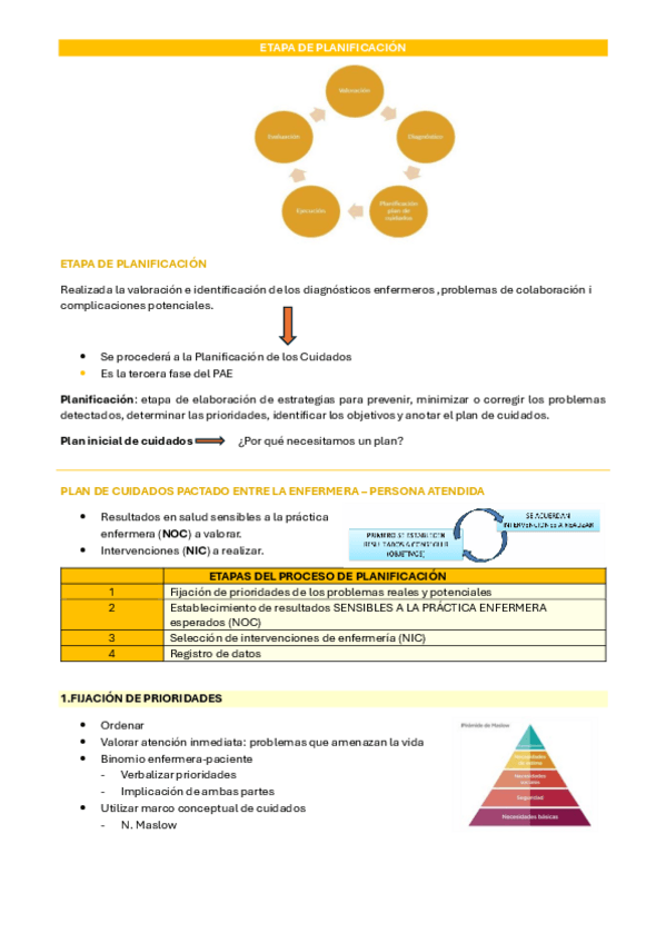 Miniatura del documento NIC-NOC.pdf