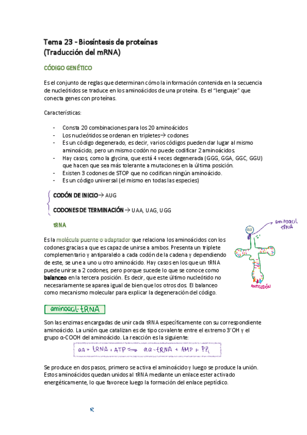 Miniatura del documento TEMA-23.pdf
