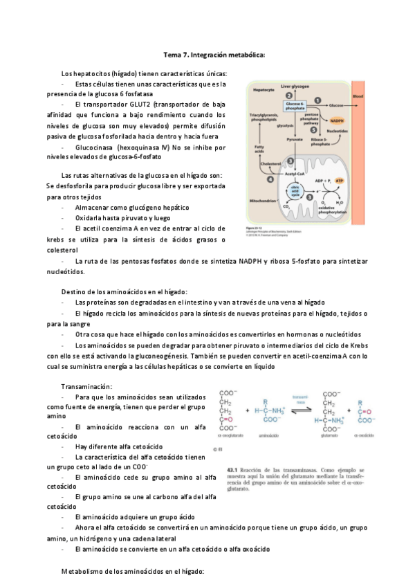 Miniatura del documento Tema-7.pdf