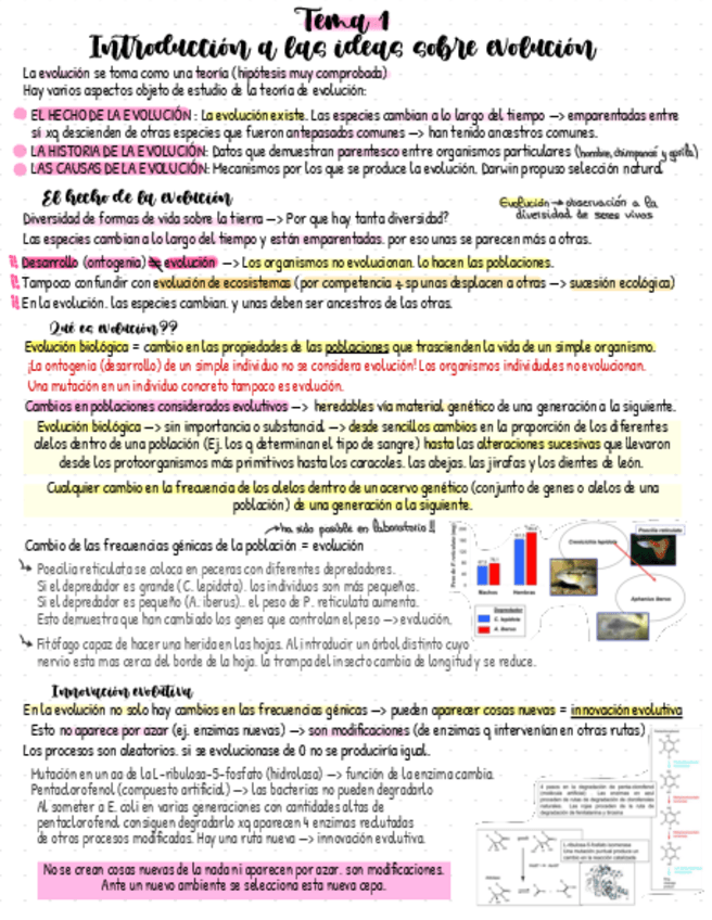 Miniatura del documento Tema-1-y-2-Evolucion.pdf