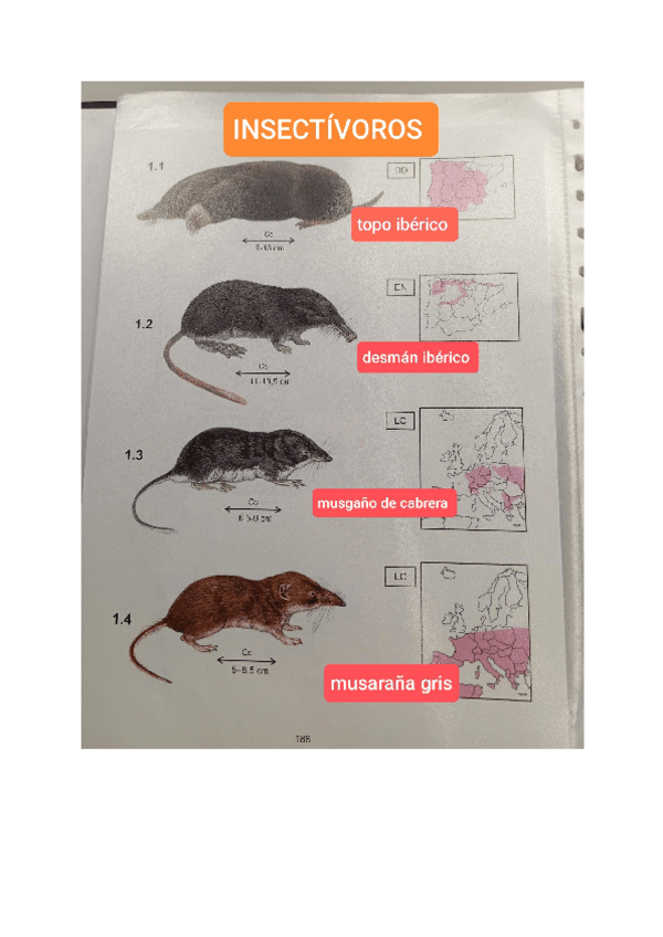 Miniatura del documento mamiferos-practicas-zoo.pdf