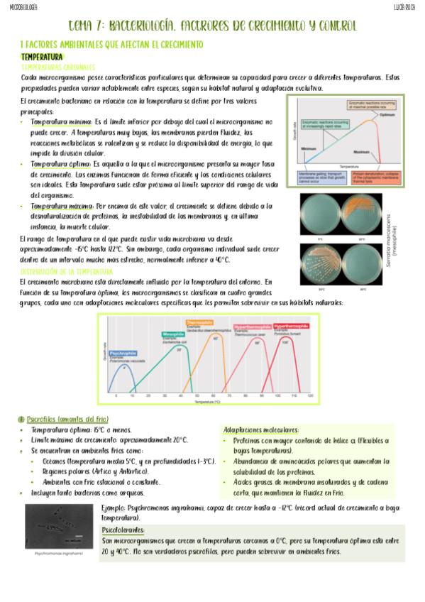Miniatura del documento tema-7-micro.pdf