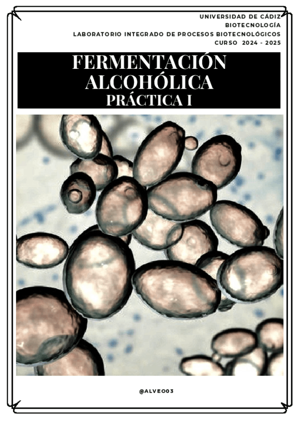 Miniatura del documento Practica-1-LIPROC.pdf