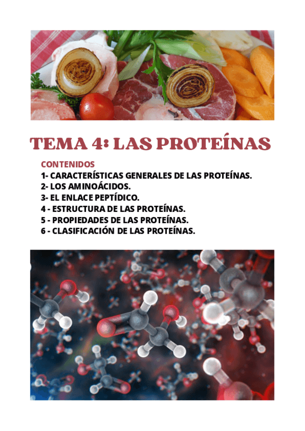 Miniatura del documento BLOQUE-1TEMA-4LAS-PROTEINAS.pdf