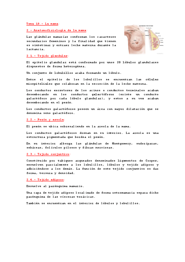 Miniatura del documento Apuntes-Tema-19.-La-Mama.pdf