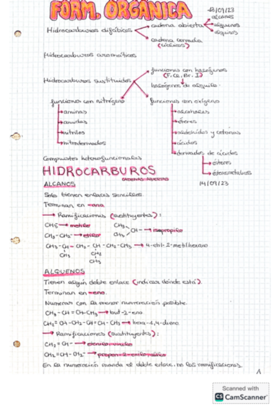 Miniatura del documento Formulacion-organica.pdf