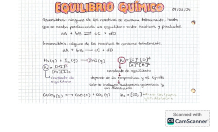 Miniatura del documento Equilibrio-quimico.-Principio-de-Le-Chatelier.-Reacciones-de-transferencia-de-electrones..pdf