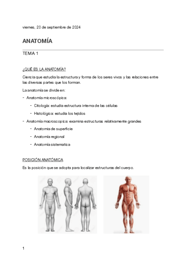 Miniatura del documento Tema-1-anatomia.pdf