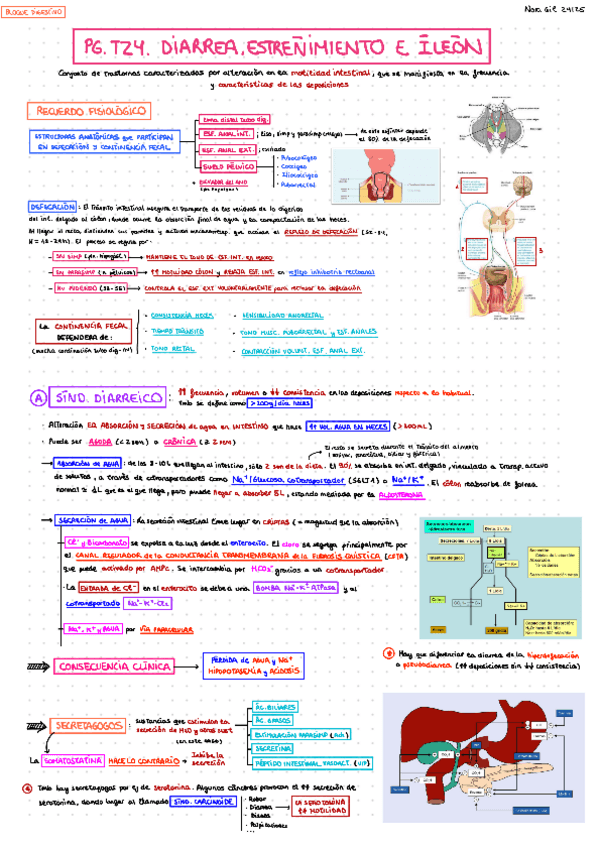 Miniatura del documento 24-DIARREA-ESTRENIMIENTO-E-ILEO.pdf