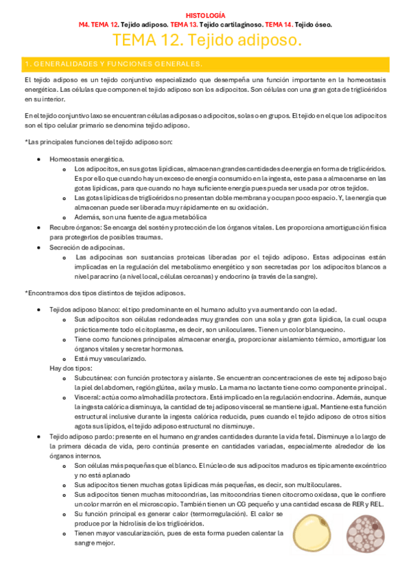 Miniatura del documento Histologia-M4..pdf