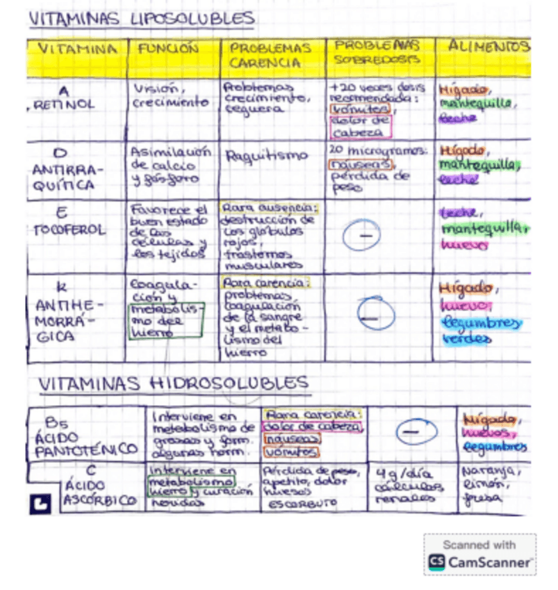 Miniatura del documento Clasificacion-vitaminas.pdf