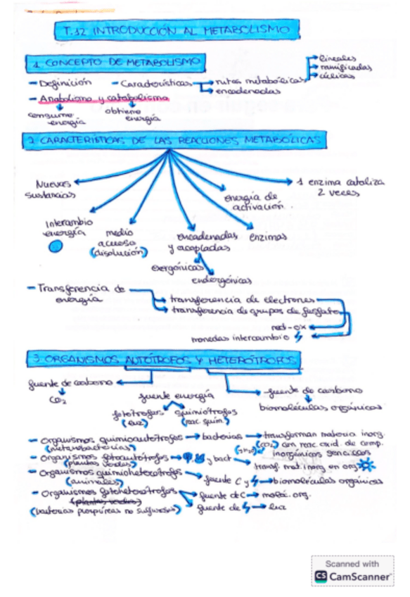 Miniatura del documento Esquema-introduccion-al-metabolismo.pdf