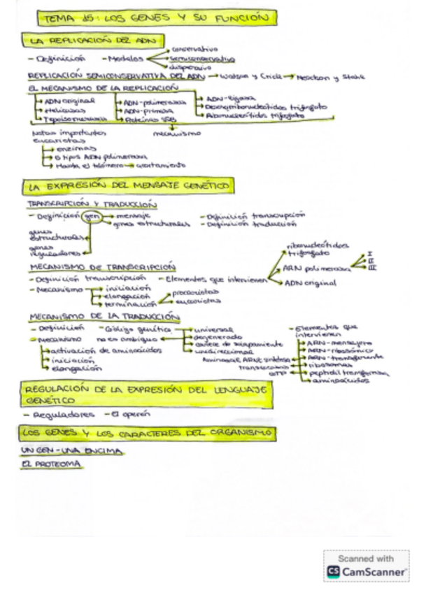 Miniatura del documento Esquema-los-genes-y-su-funcion.pdf