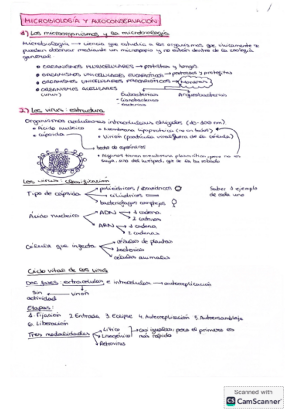 Miniatura del documento Esquema-microbiologia-y-autoconservacion.pdf