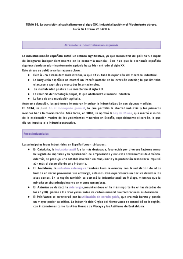 Miniatura del documento Tema-16-historia-PAU-2025.-La-transicion-al-capitalismo-en-el-siglo-XIX.-Industrializacion-y-los-Movimientos-Obreros..pdf