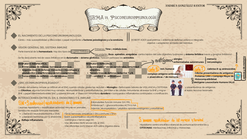 Miniatura del documento ESQUEMA-TEMA-14.-Psiconeuroinmunologia.pdf