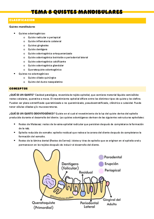 Miniatura del documento T8-Anatomia-patologica.pdf