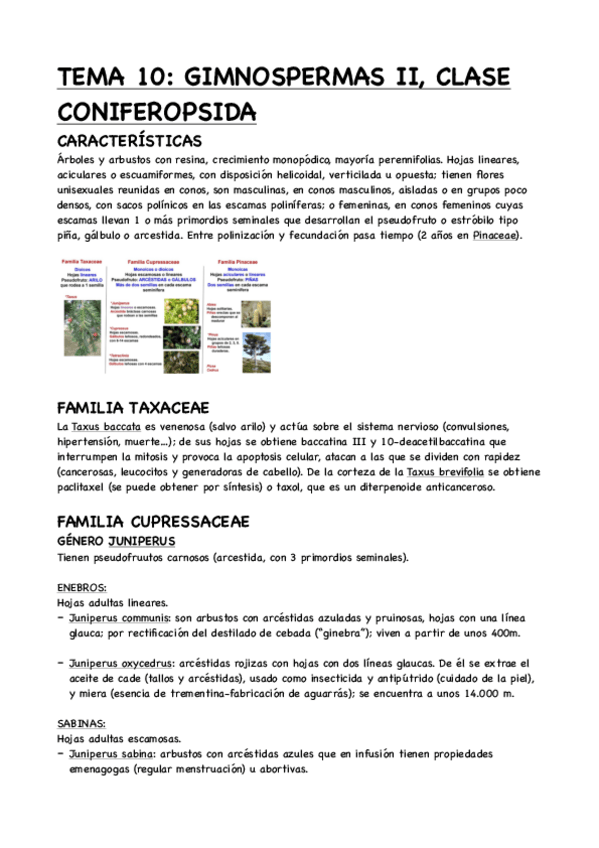 Miniatura del documento TEMA-10-GIMNOSPERMAS-II-CLASE-CONIFEROPSIDA.pdf
