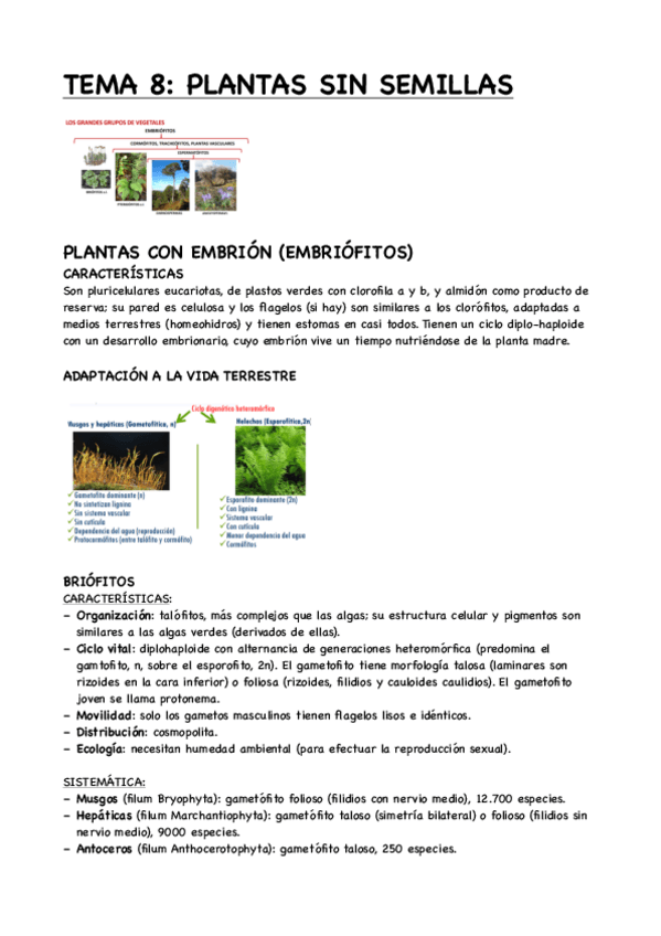Miniatura del documento TEMA-8-TTEMA-8-PLANTAS-SIN-SEMILLAS.pdf