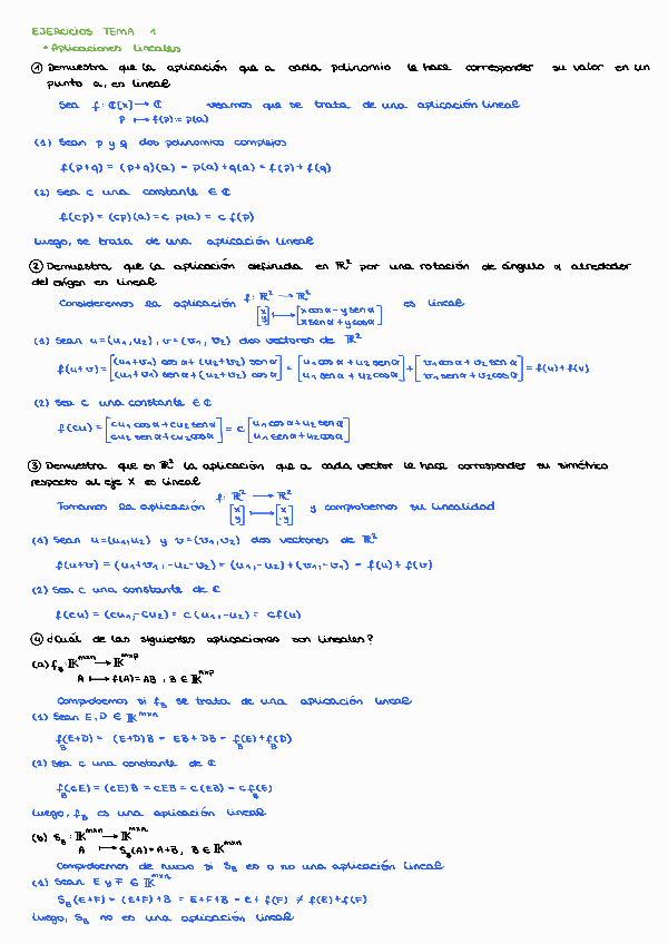 Miniatura del documento EJERCICIOS-T1.pdf