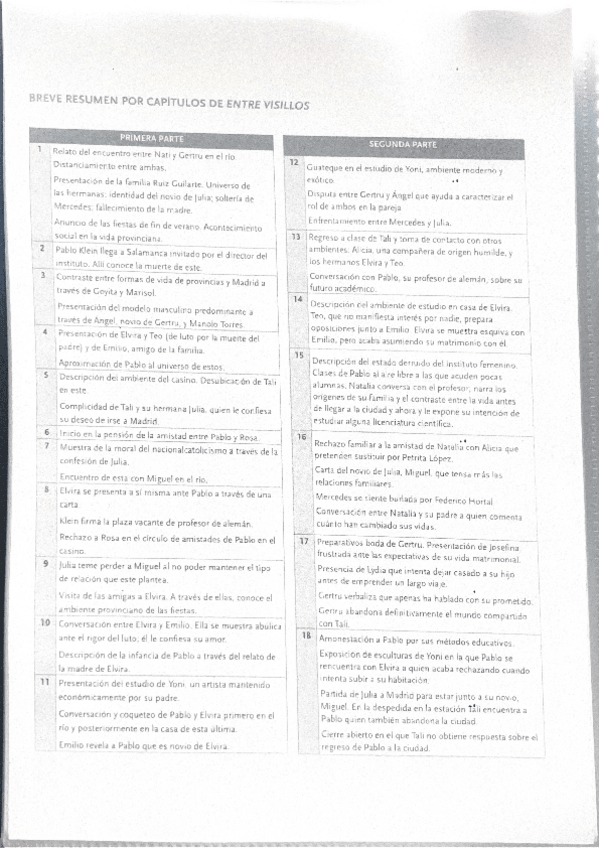 Miniatura del documento ENTRE-VISILLOS-RESUMEN-CAPITULOS.pdf