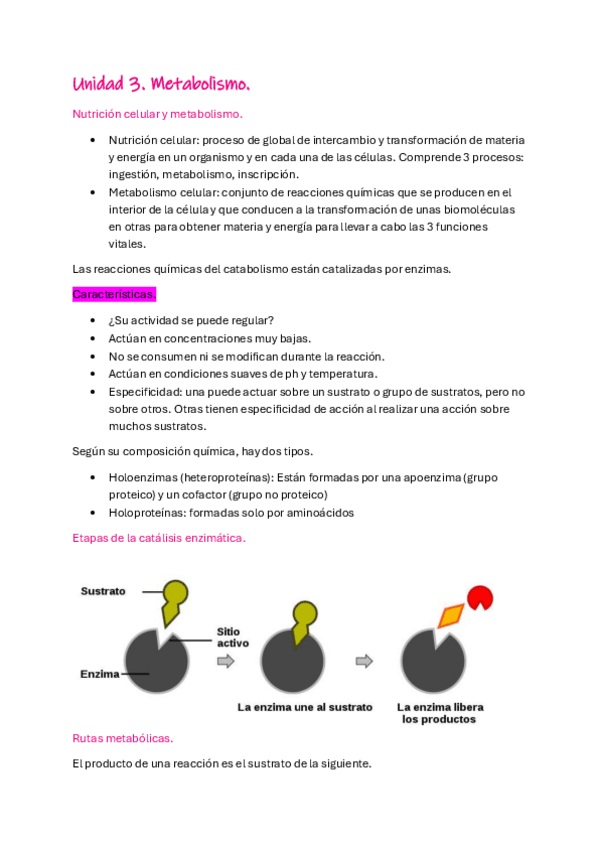 Miniatura del documento metabolismo-anatomia-aplicada-I.pdf