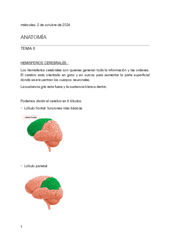 Miniatura del documento tema-6-anatomia.pdf
