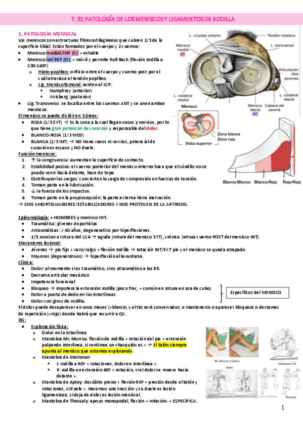 Miniatura del documento T.-31-PATOLOGIA-DE-LOS-MENISCOS-Y-LIGAMENTOS-DE-RODILLA.pdf
