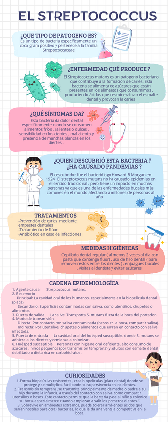 Miniatura del documento Infografia-Medicina-sobre-el-streptococcus.pdf