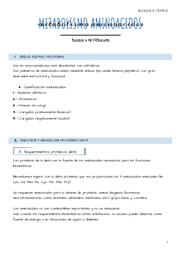 Miniatura del documento Tema-8-Metabolismo-aminoacidos.pdf