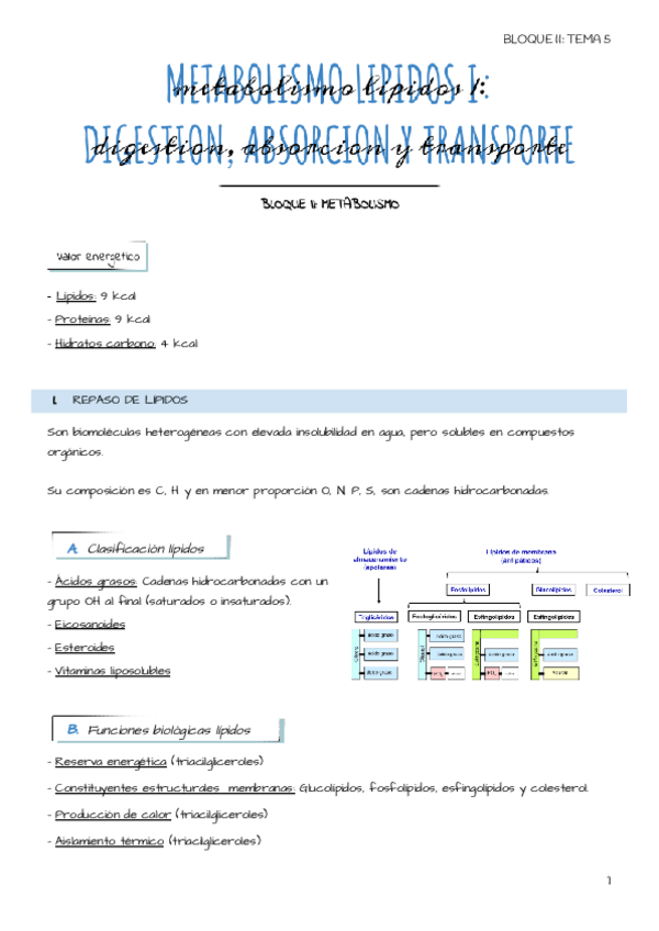 Miniatura del documento Tema-5-Metabolismo-lipidos-I-Digestion-absorcion-y-transporte.pdf