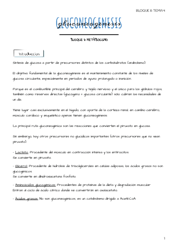 Miniatura del documento Tema-4-Gluconeogenesis.pdf