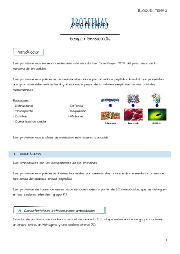 Miniatura del documento Tema-2-Proteinas.pdf