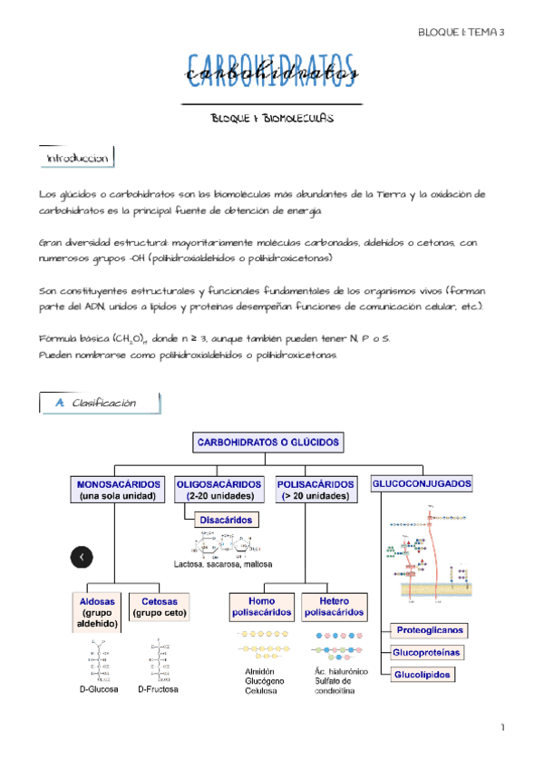 Miniatura del documento Tema-3-Carbohidratos.pdf