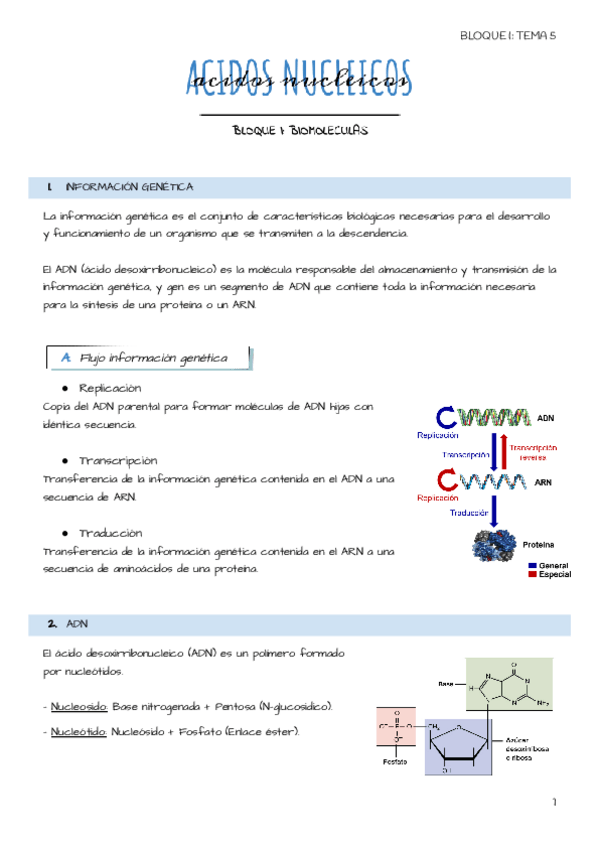 Miniatura del documento Tema-5-Acidos-nucleicos.pdf