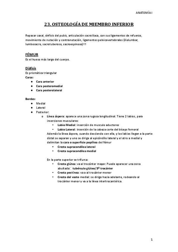 Miniatura del documento MMII-OSTEOLOGIA.pdf