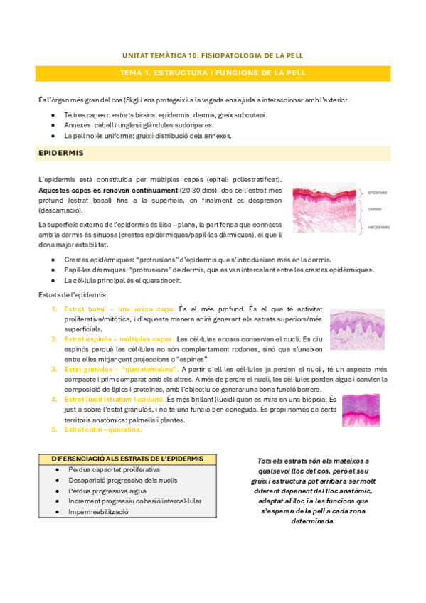 Miniatura del documento fisiopatologia-pell-1.pdf