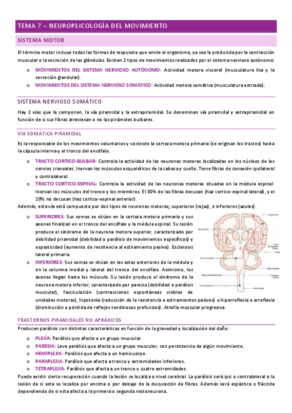 Miniatura del documento neuropsicologia-tema-7.pdf