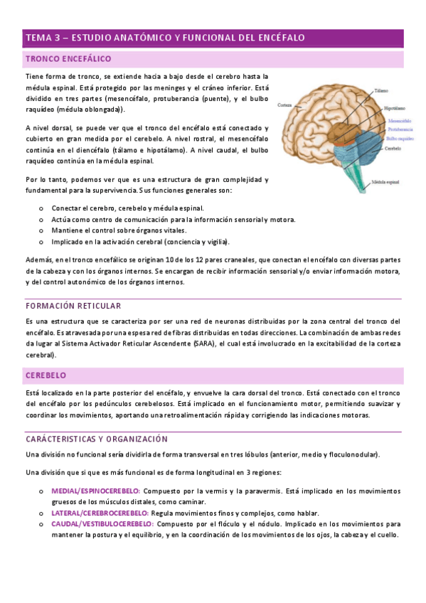 Miniatura del documento neuropsicologia-tema-3.pdf