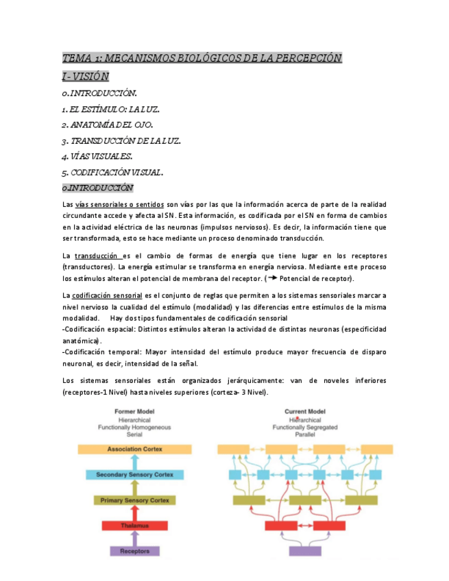 Miniatura del documento TEMA-1.pdf